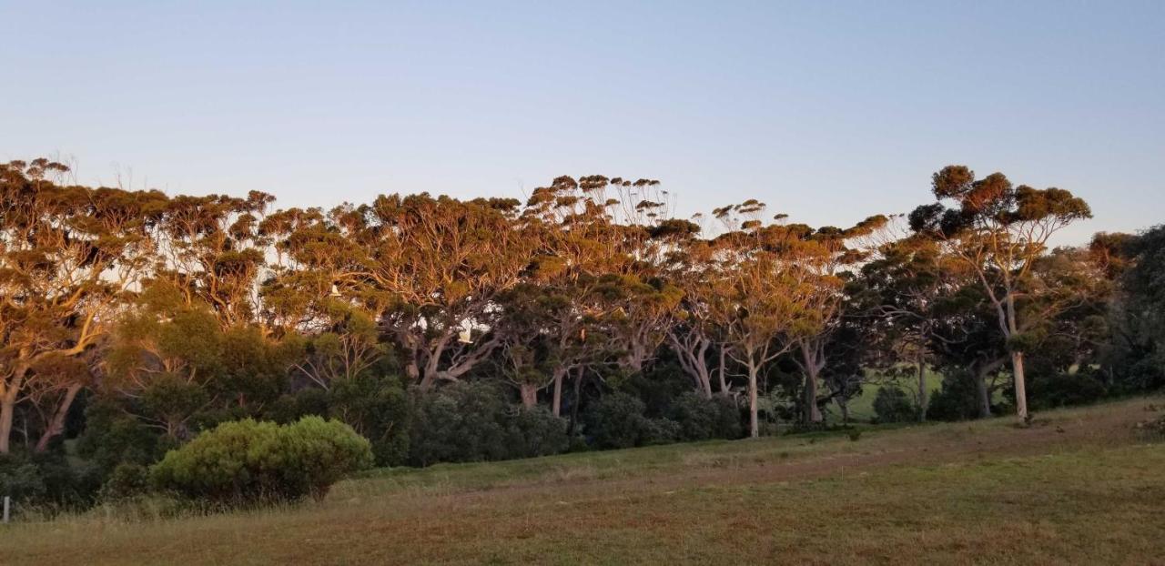 Karriview Margaret River Villa Exterior foto