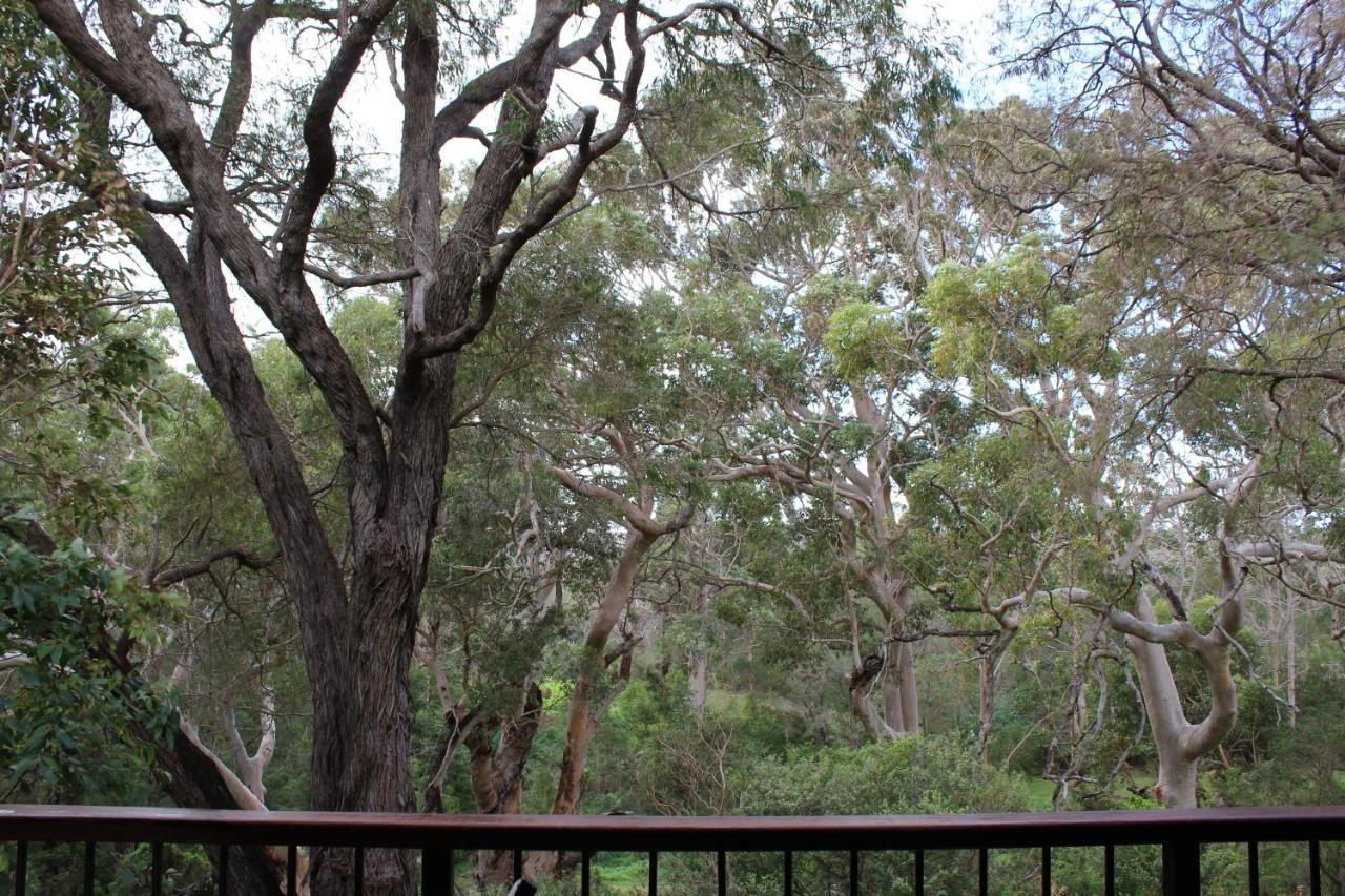 Karriview Margaret River Villa Exterior foto